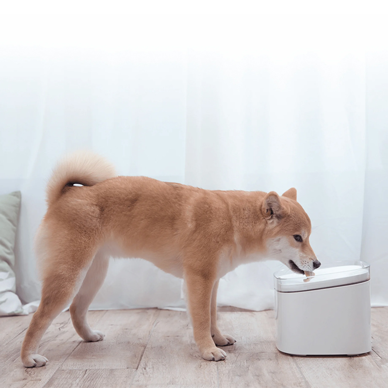 Fuente Inteligente para Mascotas Xiaomi Smart Pet Fountain White
